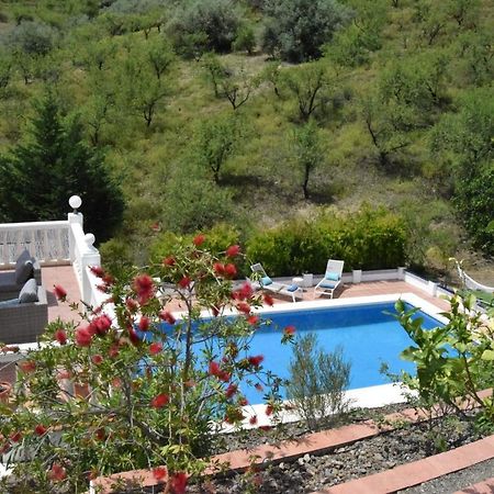 B&B And Apartments Cortijo La Zapatera Канильяс-де-Асеитуно Экстерьер фото