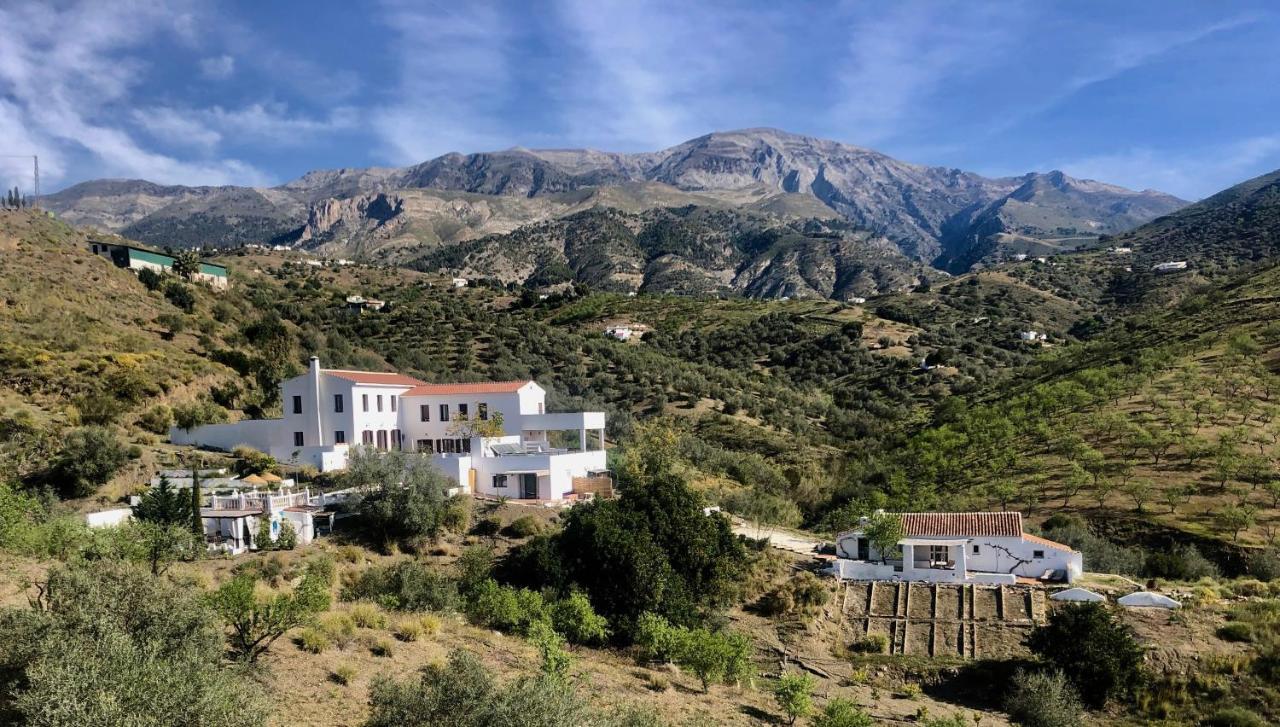 B&B And Apartments Cortijo La Zapatera Канильяс-де-Асеитуно Экстерьер фото