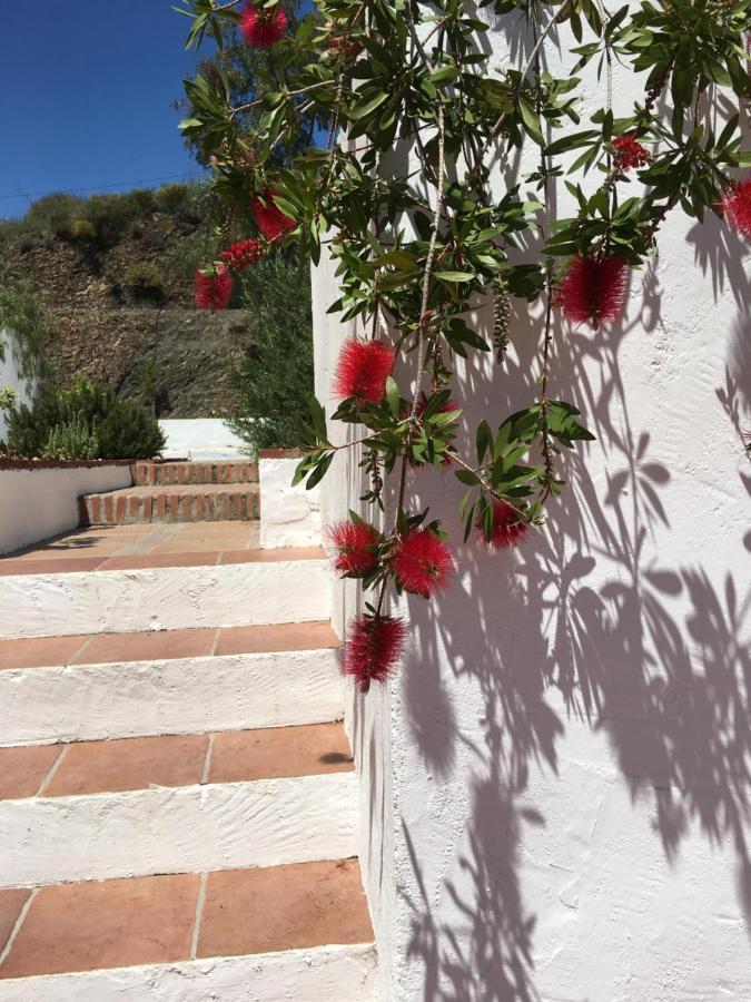 B&B And Apartments Cortijo La Zapatera Канильяс-де-Асеитуно Экстерьер фото