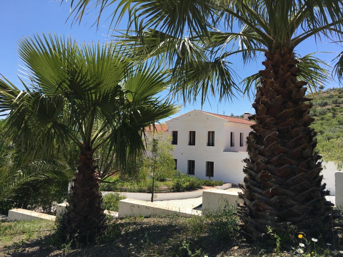 B&B And Apartments Cortijo La Zapatera Канильяс-де-Асеитуно Экстерьер фото