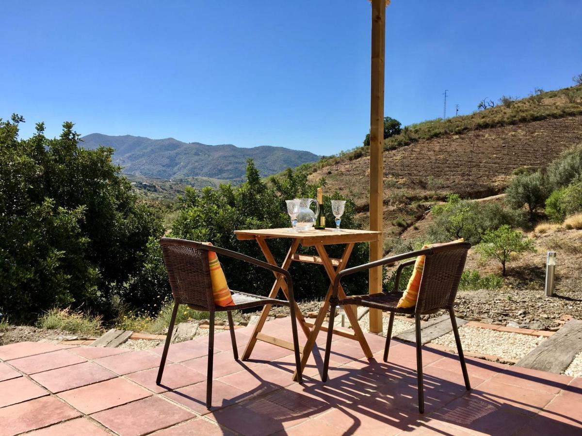 B&B And Apartments Cortijo La Zapatera Канильяс-де-Асеитуно Экстерьер фото