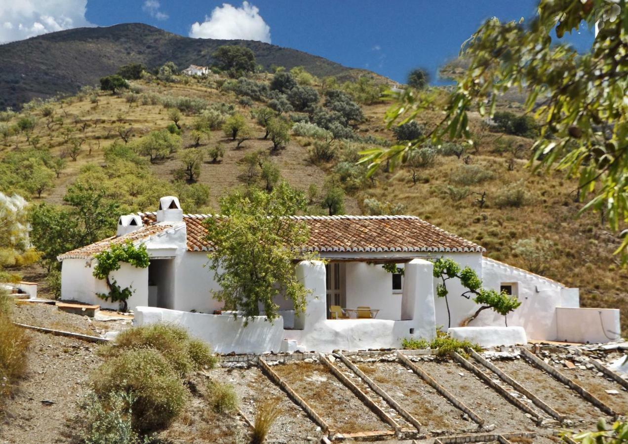 B&B And Apartments Cortijo La Zapatera Канильяс-де-Асеитуно Экстерьер фото